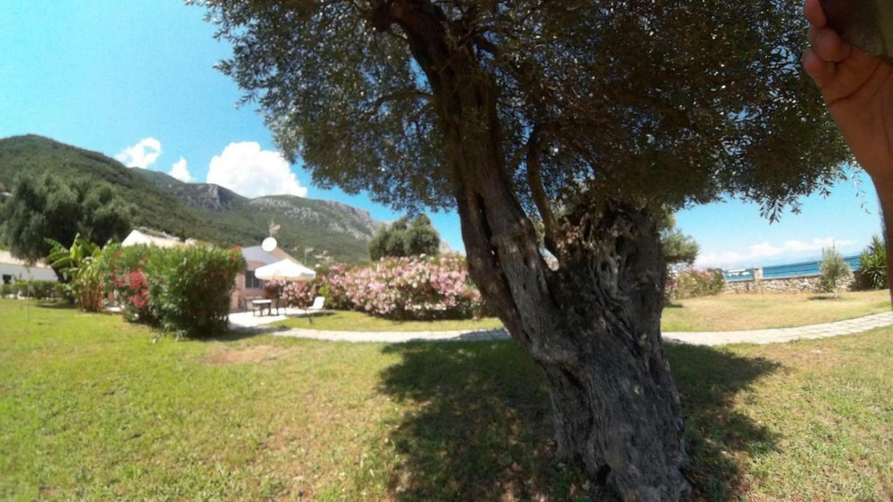 Barbati Beach Holiday Apartment, Corfu,Greece Exterior foto